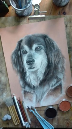 www.tierportraits-farbe-der-tiere.com www.tierportraits-farbe-der-tiere.com