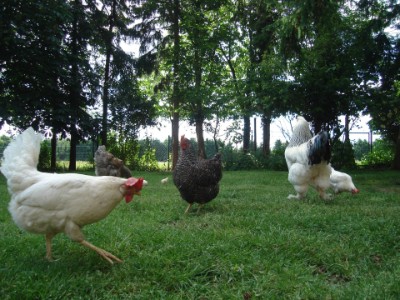 Gruppentreff buntgemischt Gruppentreff buntgemischt