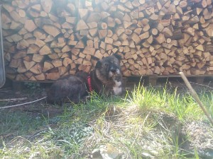 Aufenthalt bei uns: 12 Wochen